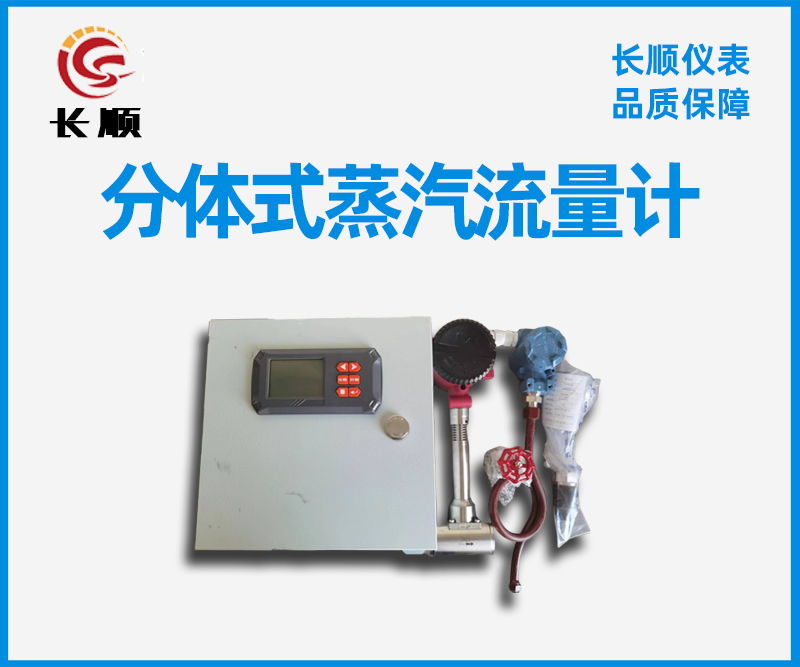 分體式蒸汽流量計 分體式蒸汽流量計